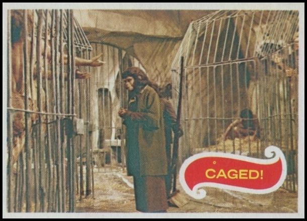 21 Caged